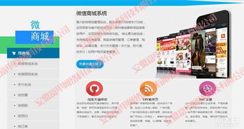 合肥專業(yè)網(wǎng)站建設與數(shù)字化解決方案 打造企業(yè)線上核心競爭力